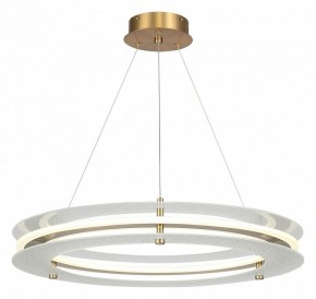 Подвесной светильник ST-Luce FAGY SL6245.203.01 в Чебаркуле - chebarkul.ok-mebel.com | фото 2