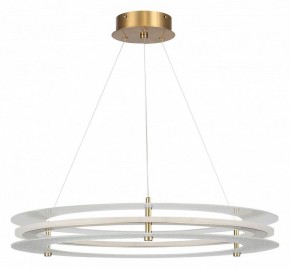 Подвесной светильник ST-Luce FAGY SL6245.203.01 в Чебаркуле - chebarkul.ok-mebel.com | фото 3