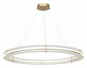 Подвесной светильник ST-Luce FAGY SL6245.213.01 в Чебаркуле - chebarkul.ok-mebel.com | фото 4