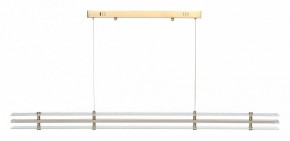 Подвесной светильник ST-Luce FAGY SL6245.223.01 в Чебаркуле - chebarkul.ok-mebel.com | фото 3