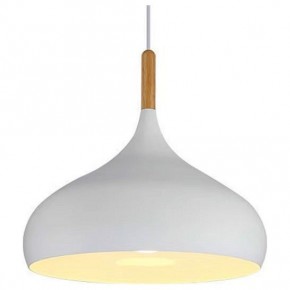 Подвесной светильник TopDecor Molto Molto S2 10 в Чебаркуле - chebarkul.ok-mebel.com | фото