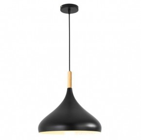 Подвесной светильник TopDecor Molto Molto S2 12 в Чебаркуле - chebarkul.ok-mebel.com | фото