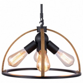 Подвесной светильник TopLight Jasmin TL1179H-04BK в Чебаркуле - chebarkul.ok-mebel.com | фото