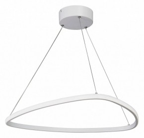 Подвесной светильник Vitaluce V04624 V04624-03/1S в Чебаркуле - chebarkul.ok-mebel.com | фото 2