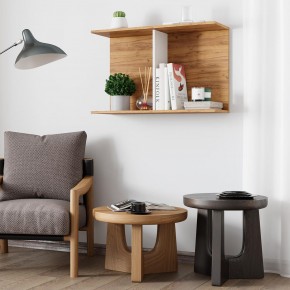 Полка Ион-3 (крафт/белый) в Чебаркуле - chebarkul.ok-mebel.com | фото 3