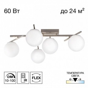Потолочная люстра Citilux Dorsy CL223151 в Чебаркуле - chebarkul.ok-mebel.com | фото 2