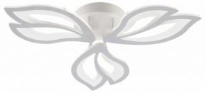 Потолочная люстра Natali Kovaltseva FORTUNA LED LAMPS 81107/2C в Чебаркуле - chebarkul.ok-mebel.com | фото