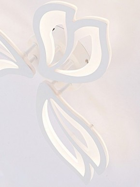 Потолочная люстра Natali Kovaltseva FORTUNA LED LAMPS 81107/2C в Чебаркуле - chebarkul.ok-mebel.com | фото 11