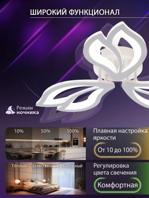 Потолочная люстра Natali Kovaltseva FORTUNA LED LAMPS 81107/2C в Чебаркуле - chebarkul.ok-mebel.com | фото 5