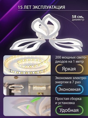 Потолочная люстра Natali Kovaltseva FORTUNA LED LAMPS 81107/2C в Чебаркуле - chebarkul.ok-mebel.com | фото 6