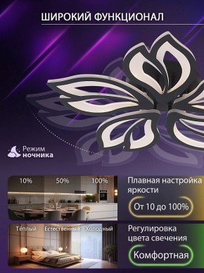 Потолочная люстра Natali Kovaltseva FORTUNA LED LAMPS 81107/5C в Чебаркуле - chebarkul.ok-mebel.com | фото 6