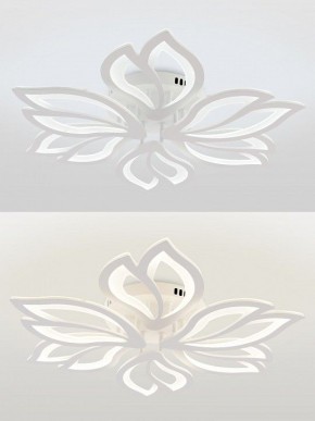 Потолочная люстра Natali Kovaltseva FORTUNA LED LAMPS 81107/6C в Чебаркуле - chebarkul.ok-mebel.com | фото 4