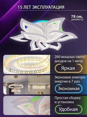 Потолочная люстра Natali Kovaltseva OLIMP LED LAMPS 81435 в Чебаркуле - chebarkul.ok-mebel.com | фото 5