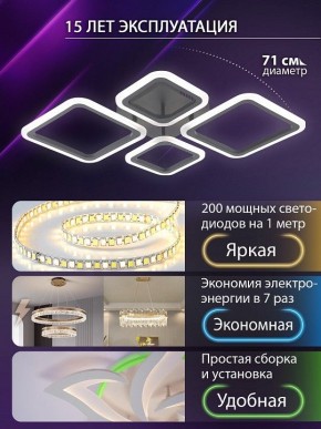 Потолочная люстра Natali Kovaltseva OPTI LED LAMPS 81108/2C в Чебаркуле - chebarkul.ok-mebel.com | фото 5