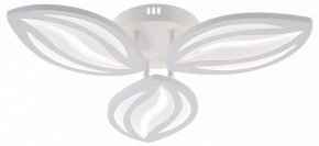 Потолочная люстра Natali Kovaltseva SM LED LAMPS 81456 в Чебаркуле - chebarkul.ok-mebel.com | фото