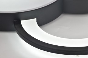Потолочная люстра Rivoli Aliona Б0066452 в Чебаркуле - chebarkul.ok-mebel.com | фото 12