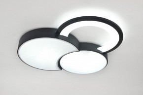 Потолочная люстра Rivoli Aliona Б0066452 в Чебаркуле - chebarkul.ok-mebel.com | фото 8