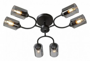 Потолочная люстра Vitaluce V2823 V2823-1/6PL в Чебаркуле - chebarkul.ok-mebel.com | фото 2