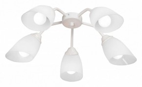 Потолочная люстра Vitaluce V31950 V31950/5PL в Чебаркуле - chebarkul.ok-mebel.com | фото
