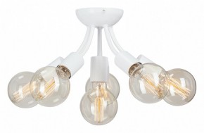 Потолочная люстра Vitaluce V3927 V3927-0/6PL в Чебаркуле - chebarkul.ok-mebel.com | фото
