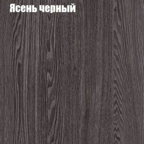 Прихожая ДИАНА-4 сек №11 (Ясень анкор/Дуб эльза) в Чебаркуле - chebarkul.ok-mebel.com | фото 3