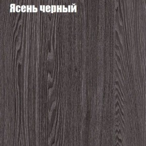 Прихожая ДИАНА-4 сек №6 (Ясень анкор/Дуб эльза) в Чебаркуле - chebarkul.ok-mebel.com | фото 3