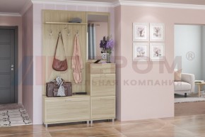 Прихожая Мелисса композиция 8 (Ясень Асахи) в Чебаркуле - chebarkul.ok-mebel.com | фото