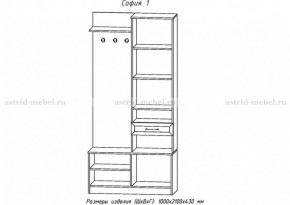 Прихожая София 1 в Чебаркуле - chebarkul.ok-mebel.com | фото 2