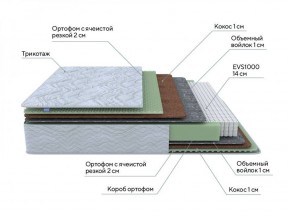 PROxSON Матрас Green M (Tricotage Dream) 120x195 в Чебаркуле - chebarkul.ok-mebel.com | фото 7