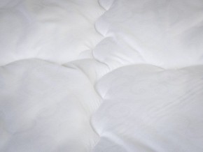 PROxSON Одеяло классическое PROSON (Стеганное полотно) 172x200 в Чебаркуле - chebarkul.ok-mebel.com | фото 4