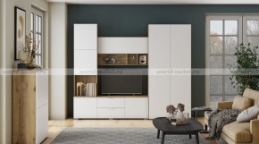МИЛАН-1 Секция ТВ (ЦРК.МЛН.01 секция ТВ) в Чебаркуле - chebarkul.ok-mebel.com | фото 3