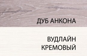 Шкаф 2DG, OLIVIA, цвет вудлайн крем/дуб анкона в Чебаркуле - chebarkul.ok-mebel.com | фото 3