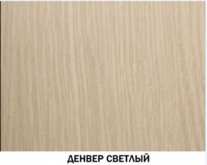 Шкаф для одежды №609 "Инна" Денвер светлый (*без полок) в Чебаркуле - chebarkul.ok-mebel.com | фото 4
