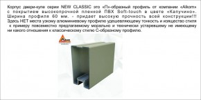 Шкаф-купе 1500 серии NEW CLASSIC K2+K2+B2+PL2(2 ящика+1 штанга+1 полка) профиль «Капучино» в Чебаркуле - chebarkul.ok-mebel.com | фото 17