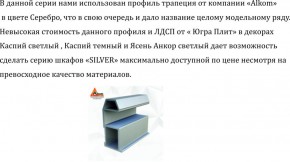 Шкаф-купе 1500 серии SILVER S1+S1+B2+PL2 (2 ящика+1 штанга+1 полка) профиль «Серебро» в Чебаркуле - chebarkul.ok-mebel.com | фото 4