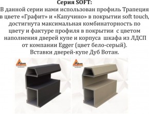 Шкаф-купе 1800 серии SOFT D1+D3+B2+PL1 (2 ящика+1штанга) профиль «Графит» в Чебаркуле - chebarkul.ok-mebel.com | фото 11