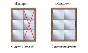 Шкаф-купе №19 Серия 3 Квадро (1700) Ясень Анкор светлый в Чебаркуле - chebarkul.ok-mebel.com | фото 3