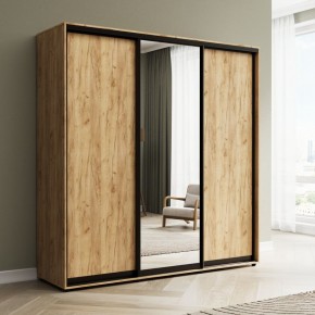 Шкаф-купе Акцент-Сим ДЗ 1800-600 в Чебаркуле - chebarkul.ok-mebel.com | фото 6