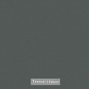 Шкаф купе без зеркала "Ольга-Лофт 10.1" в Чебаркуле - chebarkul.ok-mebel.com | фото 7
