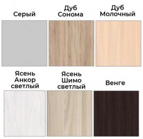 Шкаф-купе ХИТ 22-4-12/2-77 (420) в Чебаркуле - chebarkul.ok-mebel.com | фото 3