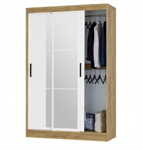 Шкаф-купе Тайм ШКК-03 (крафт/белый) в Чебаркуле - chebarkul.ok-mebel.com | фото 2