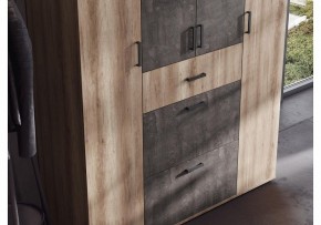 Шкаф платяной Паркинс в Чебаркуле - chebarkul.ok-mebel.com | фото 3