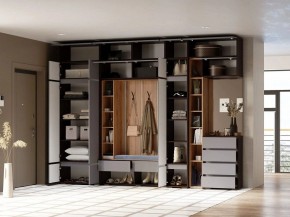 Шкаф платяной Роут в Чебаркуле - chebarkul.ok-mebel.com | фото 2