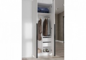 Шкаф платяной Широн в Чебаркуле - chebarkul.ok-mebel.com | фото 3