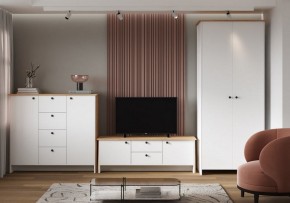 Шкаф платяной Теодора в Чебаркуле - chebarkul.ok-mebel.com | фото 4