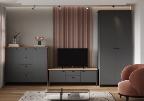 Шкаф платяной Теодора в Чебаркуле - chebarkul.ok-mebel.com | фото 3
