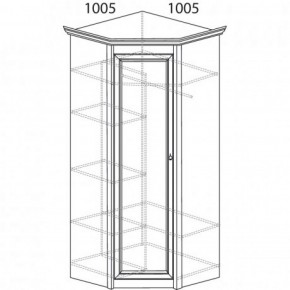 Шкаф угловой №662 "Флоренция" Фасад глухой (угол 1005*1005) Дуб оксфорд в Чебаркуле - chebarkul.ok-mebel.com | фото 3
