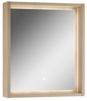 Шкаф-зеркало Nice 60 с подсветкой Домино (DN4706HZ) в Чебаркуле - chebarkul.ok-mebel.com | фото 1