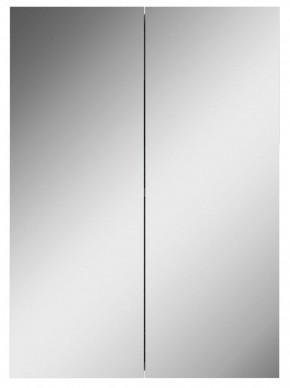 Шкаф-зеркало Норма 50 2 двери АЙСБЕРГ (DA1636HZ) в Чебаркуле - chebarkul.ok-mebel.com | фото 4