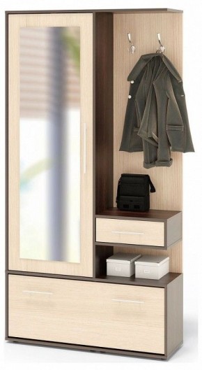 Стенка для прихожей ВШ-6 в Чебаркуле - chebarkul.ok-mebel.com | фото